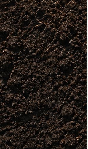 Topsoil